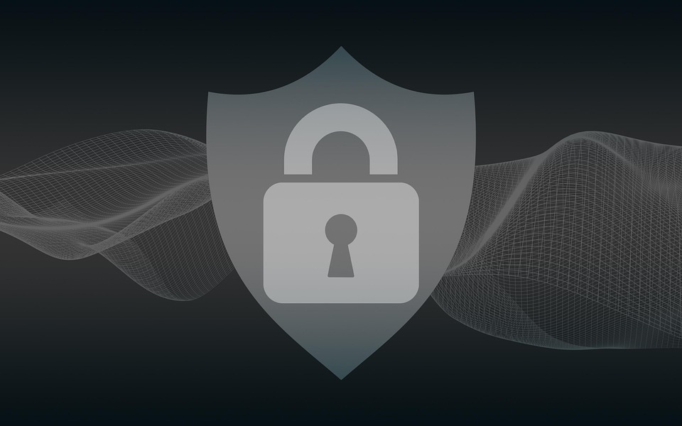 Blog post 3